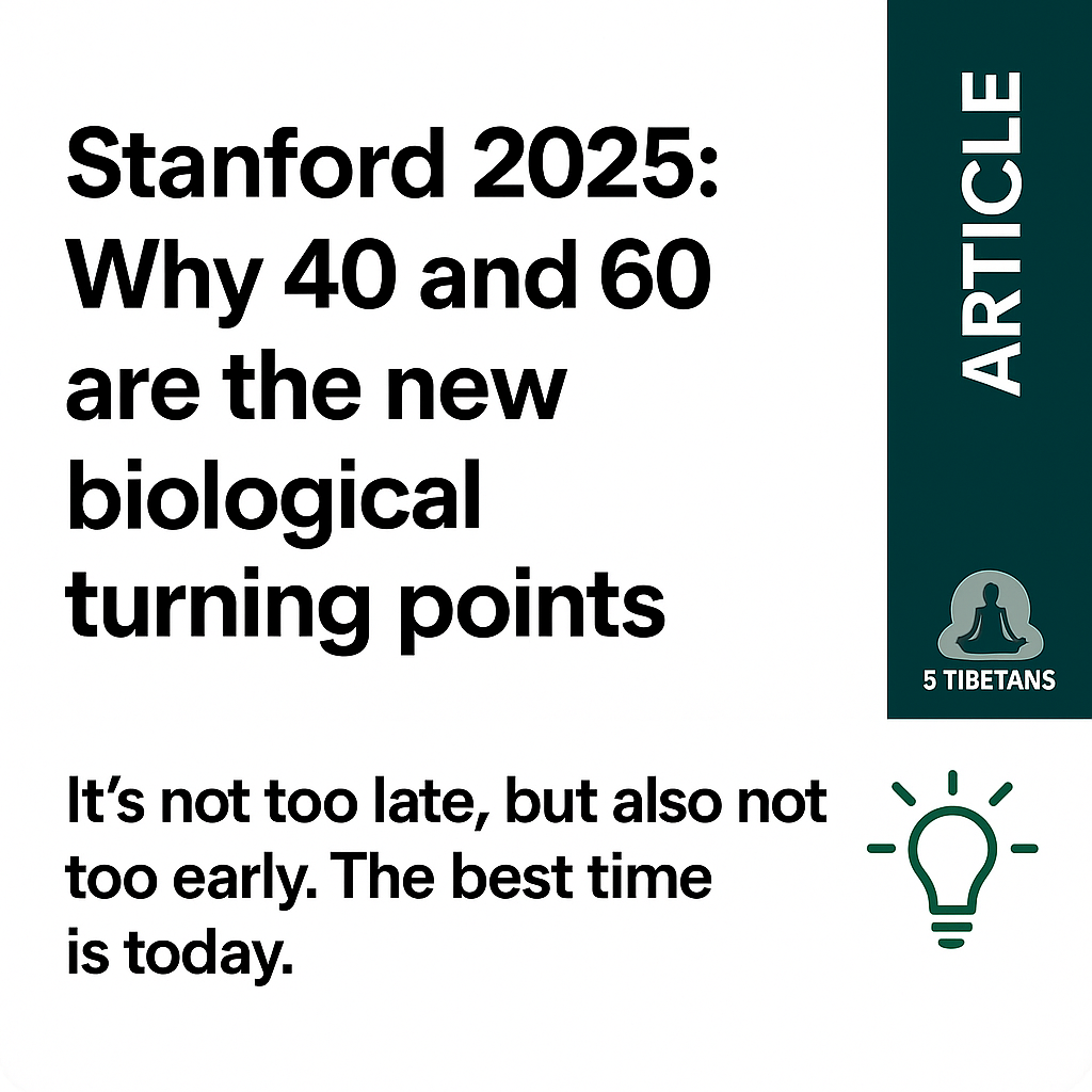 ChatGPT Image 21. Nov